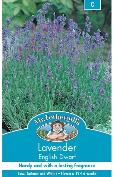 LAVENDER, ENGLISH DWARF, SEEDS, CODE C