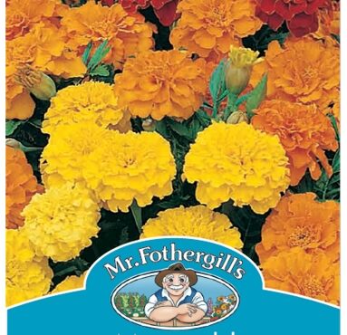 MARIGOLD, DWARF DOUBLE, SEEDS, CODE C