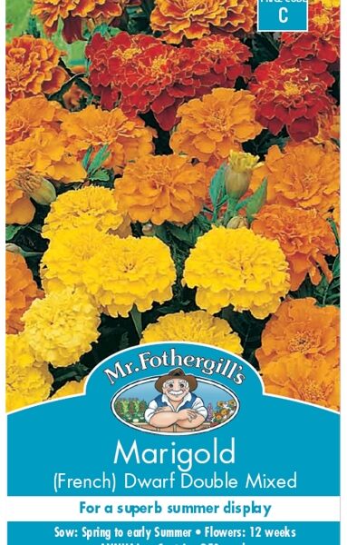 MARIGOLD, DWARF DOUBLE, SEEDS, CODE C