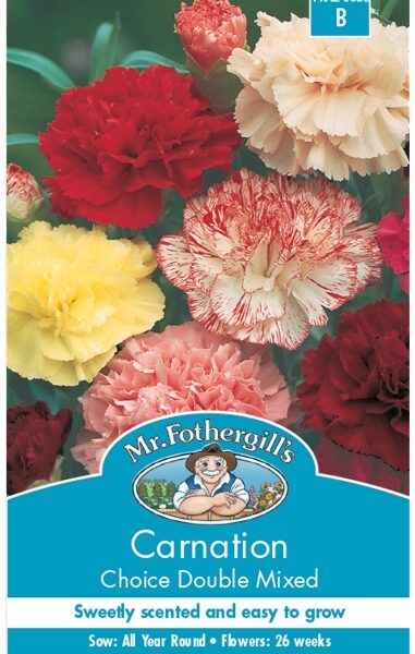 CARNATION, CHOICE DOUBLE MIXED, SEEDS, CODE B