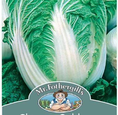 CHINESE CABBAGE, NAGAOKA, SEEDS, CODE D