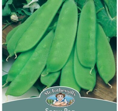 SNOW PEA, OREGON DWARF, SEEDS, CODE D