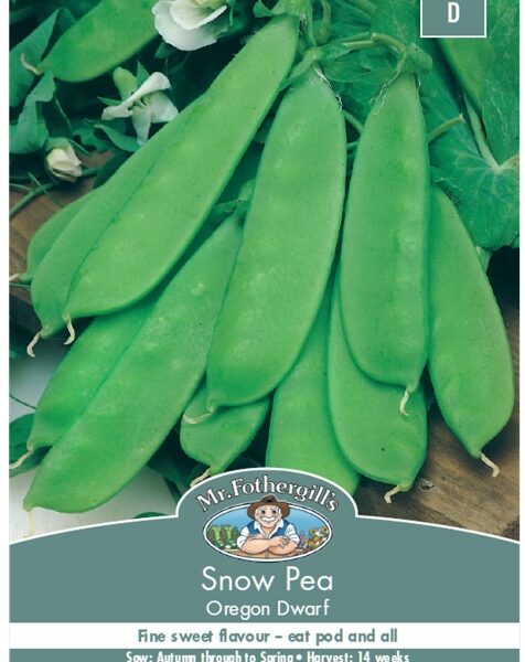 SNOW PEA, OREGON DWARF, SEEDS, CODE D