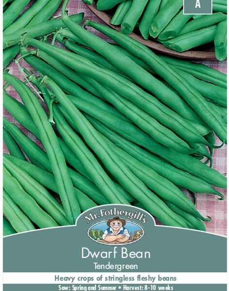 DWARF BEAN, TENDERGREEN, SEEDS, CODE A