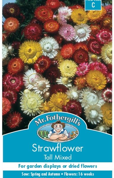 STRAWFLOWER, TALL MIXED, SEEDS, CODE C