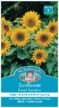 SUNFLOWER, DWARF SUNSATIONS, SEEDS, CODE B