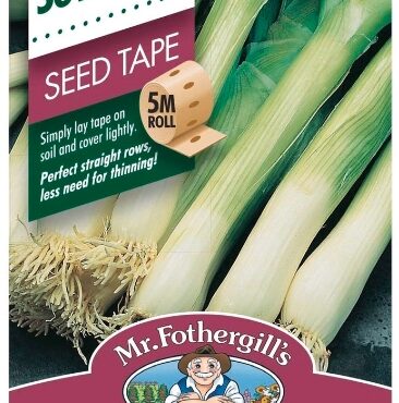 SPRING ONION, SEED TAPE, SEEDS, CODE D