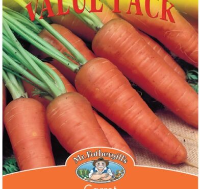 CARROT, CHANTENAY VALUE PACK, SEEDS, CODE D