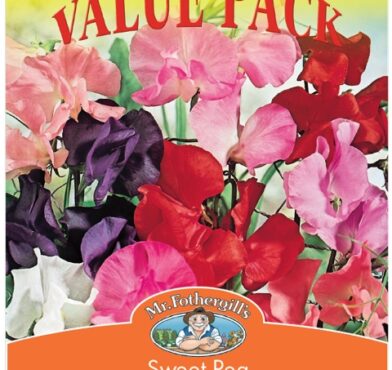 SWEET PEA, MAMMOTH VALUE PACK, SEEDS, CODE D