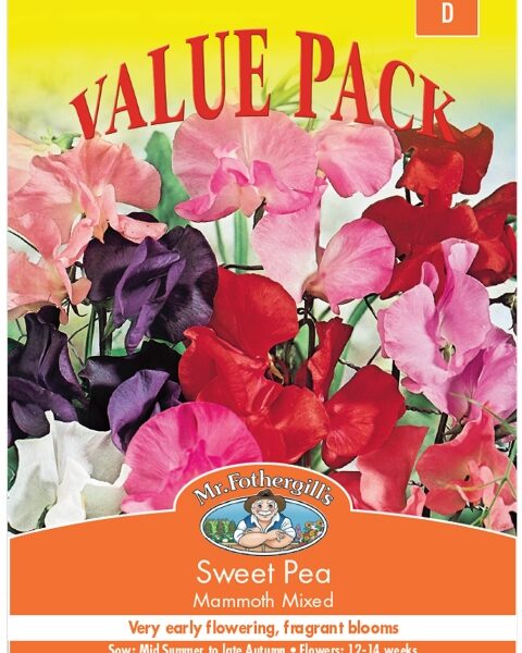 SWEET PEA, MAMMOTH VALUE PACK, SEEDS, CODE D