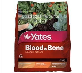 BLOOD & BONE, YATES, 2.5KGS