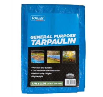 TARPAULIN, MEDIUM - 6' X 4', BLUE