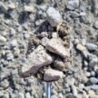 CRUSHED RUBBLE, 40 - 100MM, GRADED