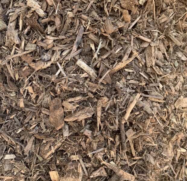 FOREST MULCH