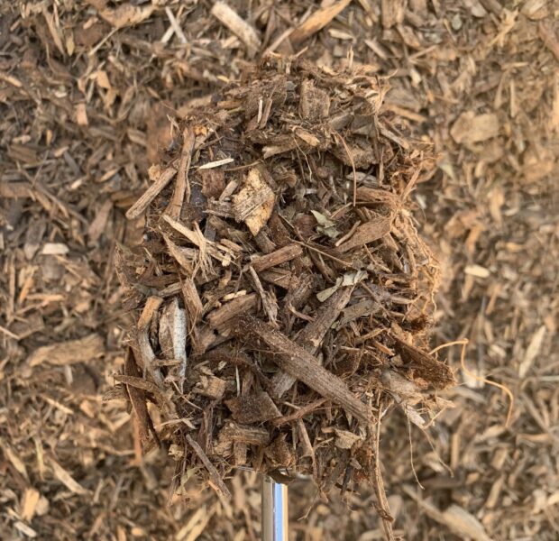 FOREST MULCH