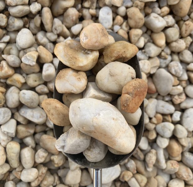 CREAM, 40MM, PEBBLES