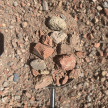 BULK, CRUSHED BRICK, 20MM, WITH FINES